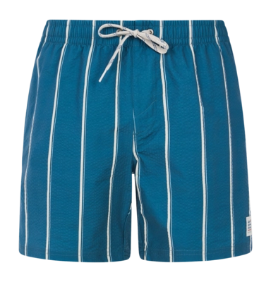 Beach Shorts Protest Men Prtgonz Raku Blue
