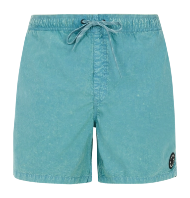 Short de Plage Protest Homme Prtraptor Arctic Green