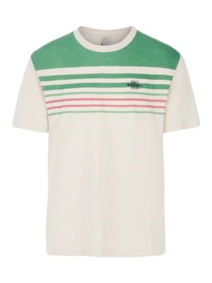 T-Shirt Protest Homme Prthowlen Cactus Green