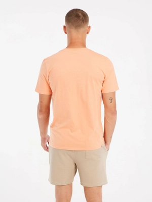5---resize (17)