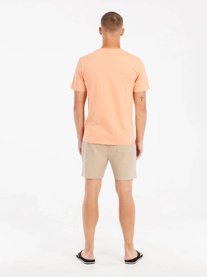 7---resize (19)