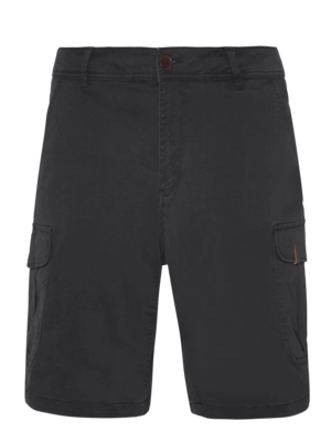 Korte broek Protest Men Prtnytro Cargo Deep Grey