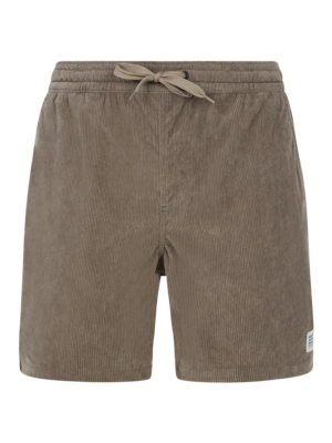 Korte broek Protest Men Prtuleyo Soil Grey