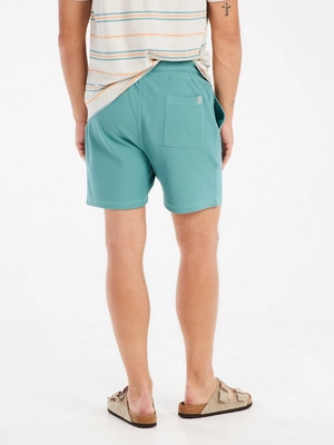 7---23751012_486_model_back-half_01