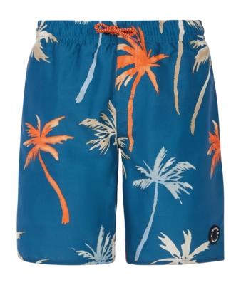Beachshort Protest Boys Prtbrandon Raku Blue