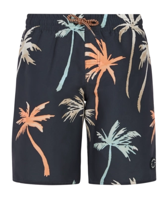Beachshort Protest Boys Prtbrandon Deep Grey