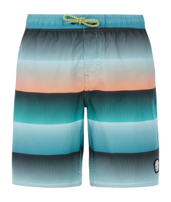 Beach Shorts Protest Boys Prtray Arctic Green