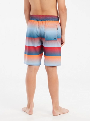 5---71851009_926_model_back-half_01