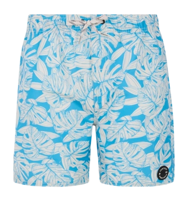 Beachshort Protest Boys Prtcolney Olympic Blue