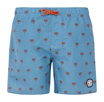 Beach Shorts Protest Boys Prtsteven Dusty Blue
