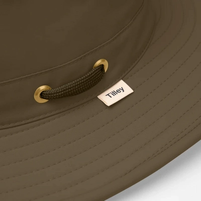 3---ltm6_olive_2