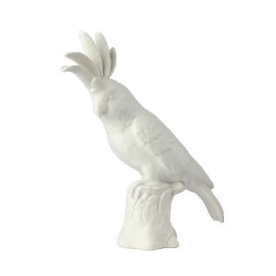 Cockatoo POLSPOTTEN White