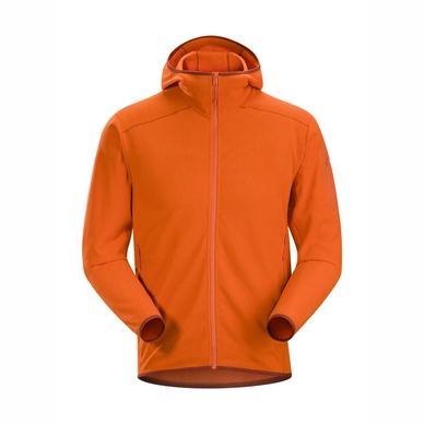 Fleece Arc'teryx Men Delta LT Hoody Trail Blaze
