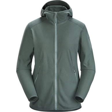 Vest Arc'teryx Women Delta LT Hoody Muse