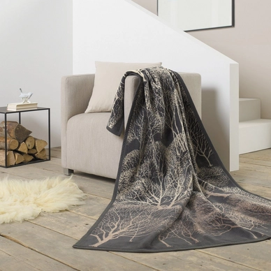 Jacquard Plaid Ibena Solare Futura Forest Bruin