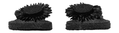 5---CHEERFUL16F_001_5