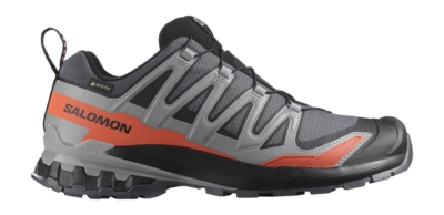 Trailrunningschuhe Salomon XA Pro 3D V9 GTX Herren Turbulence / Black / Burnt Ochre