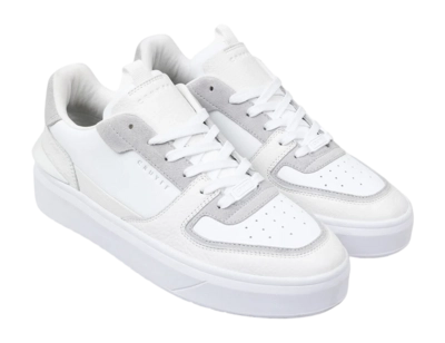 3---CC243241-100_Surefire_Tennis-4