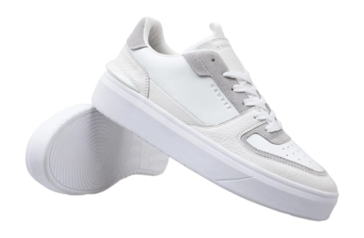5---CC243241-100_Surefire_Tennis-6