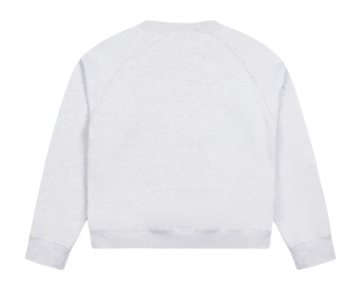 2---Grey _F_ck Off I'm Gardening_ Raglan Crewneck_Back copy