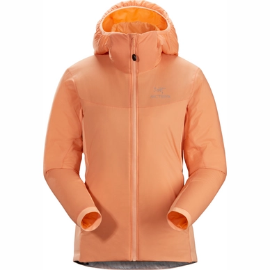 24474-Atom-LT-Hoody-W-Neoflora-S20