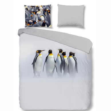 2563-F. JORDY, grey-3D(s)