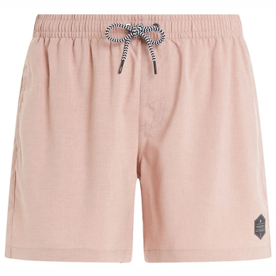 Beachshort Protest Men Davey Mauvepink