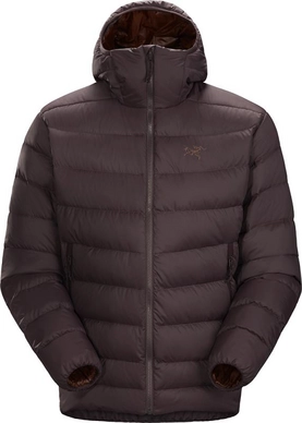 Jas Arc'teryx Men Thorium AR Hoody Figment