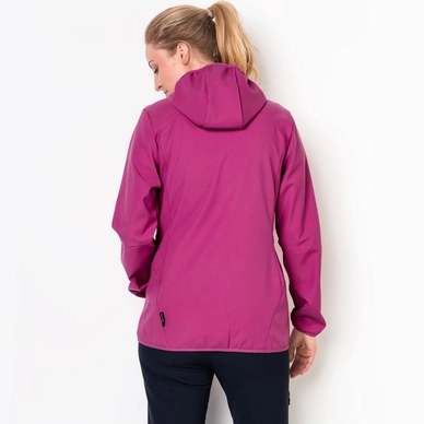 Jas Jack Wolfskin Women Northern Point Fuchsia