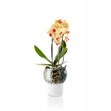 Eva Solo Bloempot met Bewateringssysteem Orchid 15 cm