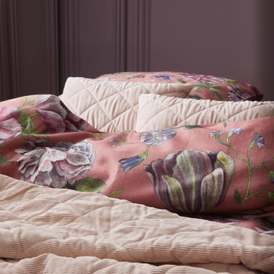 3---ELIZABETH_RABARBER_DETAIL_01_LR