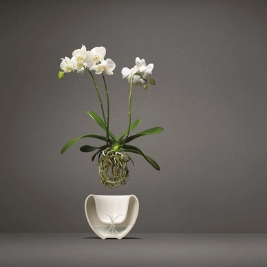Eva Solo Orchidee Vaas White 17 cm