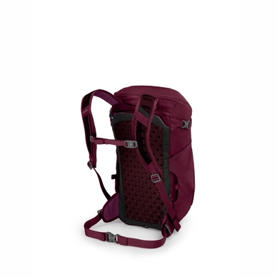 Rugzak Osprey Skimmer 20 Plum Red