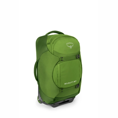 Reiskoffer Osprey Sojourn 60 Nitro Green