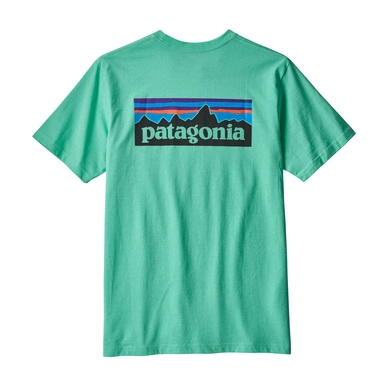 T-Shirt Patagonia Men's P-6 Logo Responsibili-Tee Vjosa Green