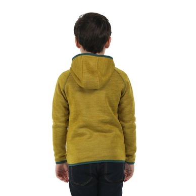 Vest Regatta Dissolver Antique Moss