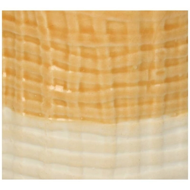 3---XET-7901-2