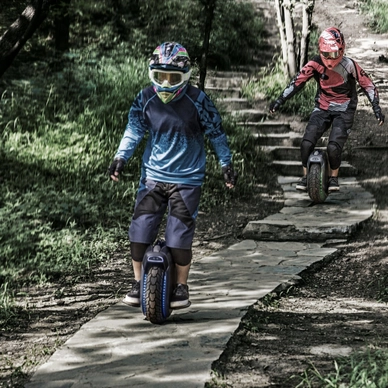 3---Z10_Lifestyle_Forest