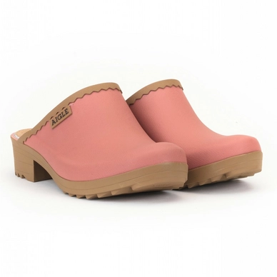 3---aig2445x-2