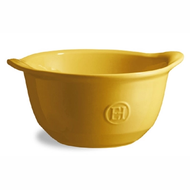 3---bol-a-gratinee Provence