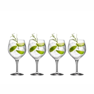 Gin Tonic Glas Orrefors Gin & Tonic 640 ml (4-delig)