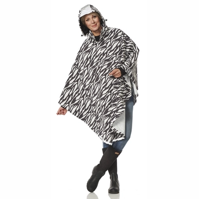 3---32036-HRD-9-2022-cape-zebra-gray-scaled