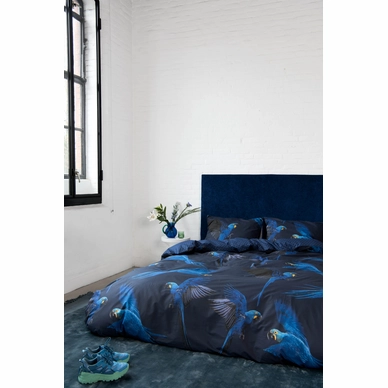 3---Blue_Parrot_2persoons_rgb-4047