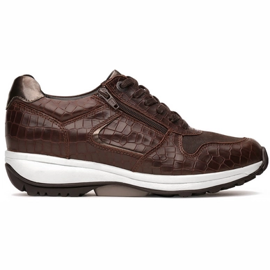 Sneaker Xsensible Stretchwalker Women Jersey Brown Croco
