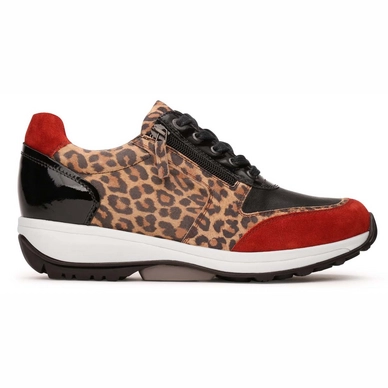 Sneaker Xsensible Stretchwalker Women Wembley Leopard Combi