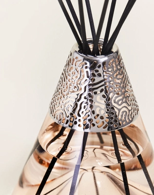 006900_Bouquet-parfume-Maison-Berger-Paris-by-Starck-Peau-de-Soie_P_3
