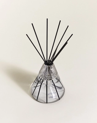 006902_Bouquet-parfume-Maison-Berger-Paris-by-Starck-Peau-de-Pierre_P_4