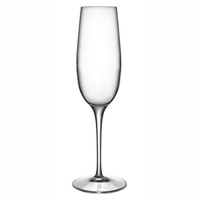 Champagneglas Luigi Bormioli Palace 235 ml (6-Delig)