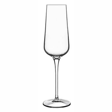 Champagneglas Luigi Bormioli Intenso 240 ml (6-Delig)