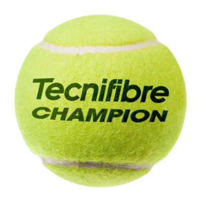 balleTF_champion (1)-_no-bg